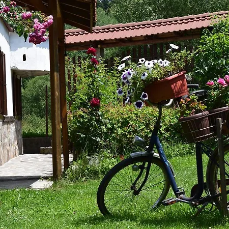 Kabasanov بيت للعطل