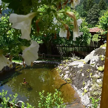 Kabasanov * Smolyan
