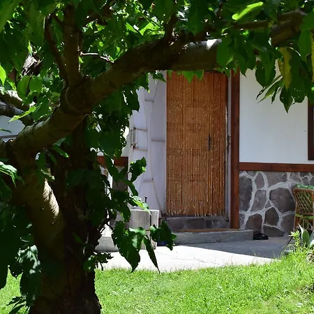 Kabasanov Casa de Férias