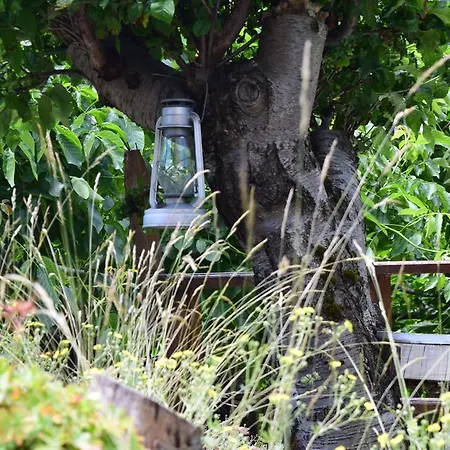 Casa de Férias Kabasanov *