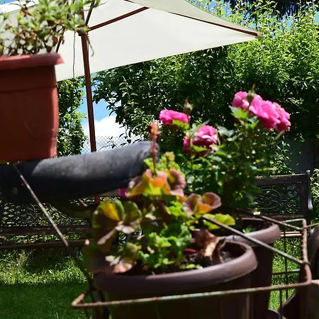 بيت للعطل Kabasanov