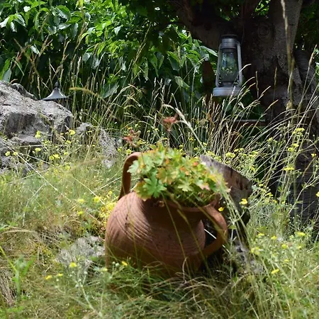 Kabasanov سموليان