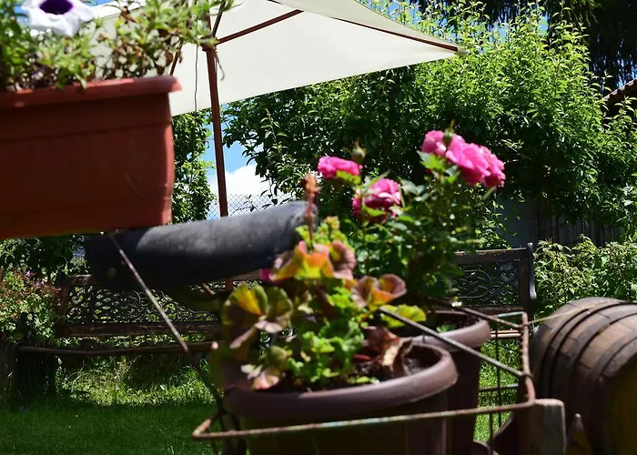 Ваканционна къща Kabasanov