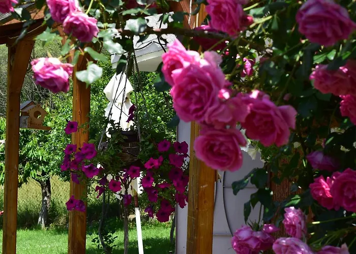 Kabasanov Смолян