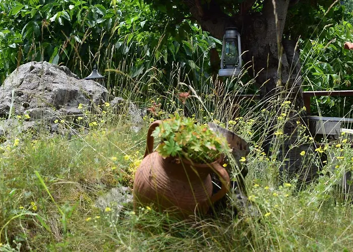 Kabasanov Смолян